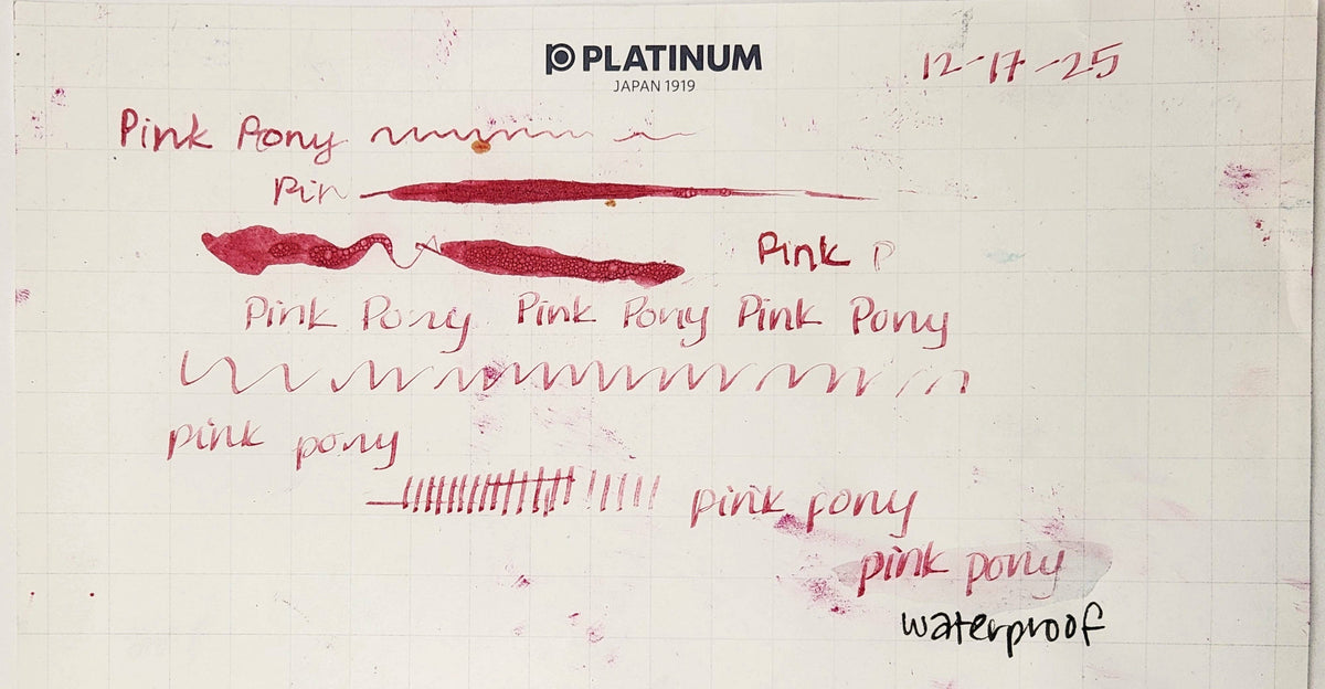 Fountain Pen Ink - Pink Pony