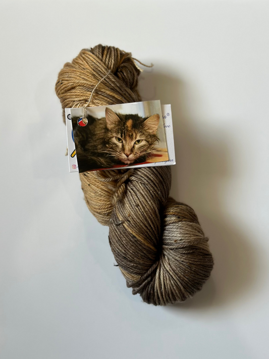TRUNK SHOW: Road Trip Sock Yarn Classic Cat Full Skeins