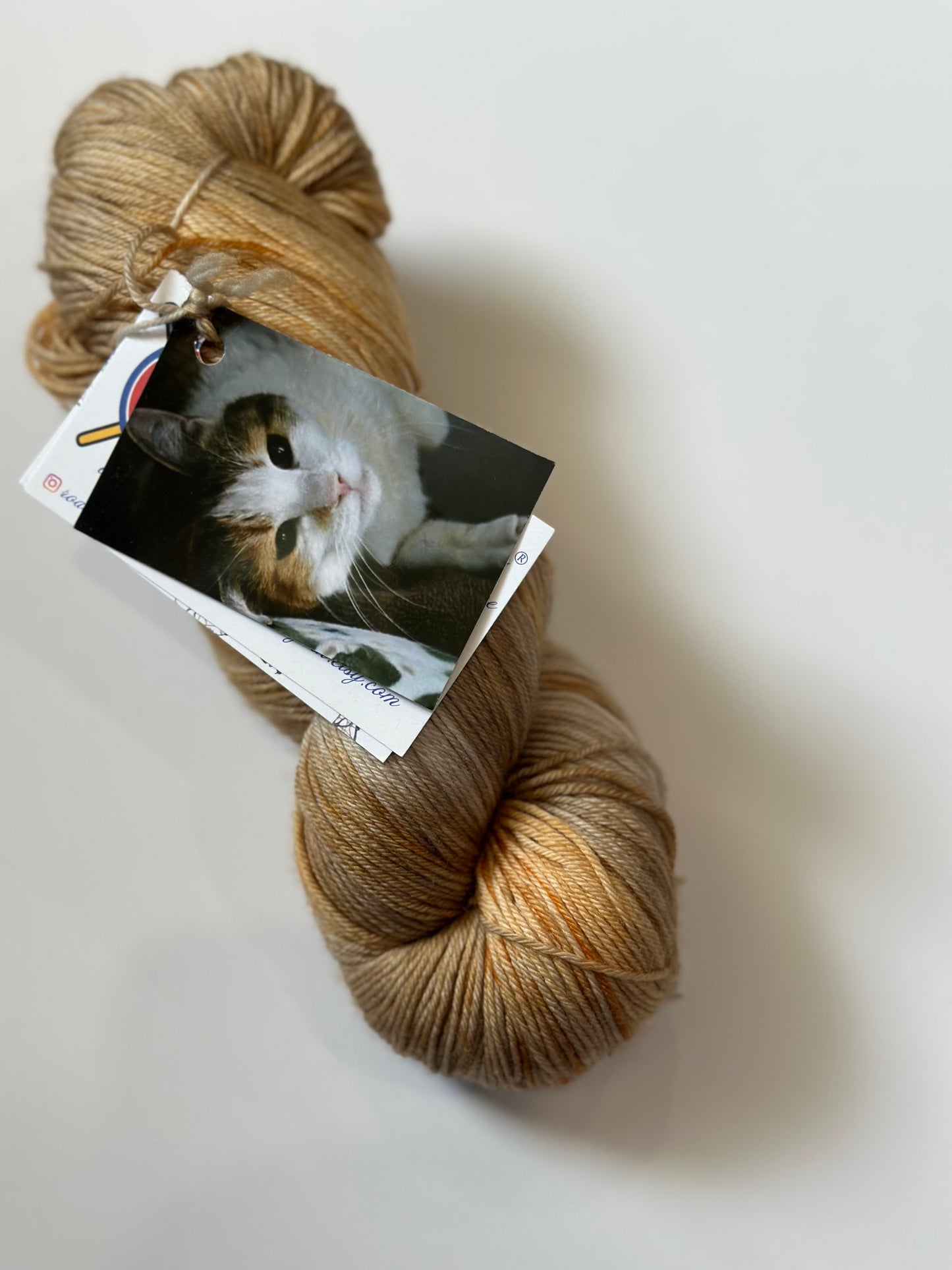 TRUNK SHOW: Road Trip Sock Yarn Classic Cat Full Skeins