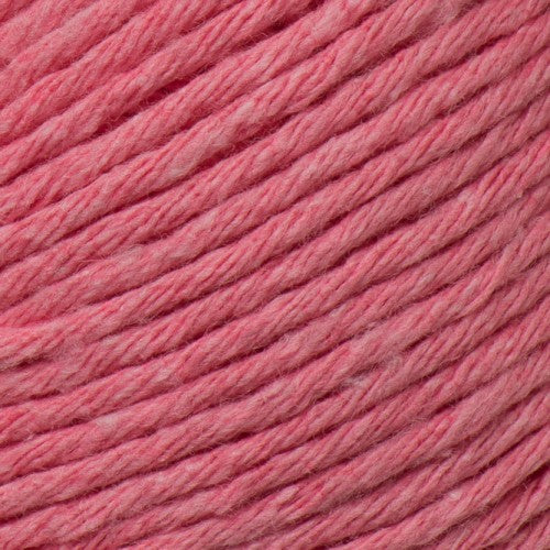 Ecotone by Laines du Nord