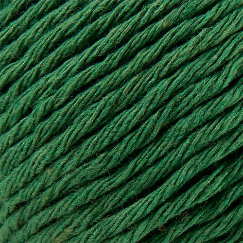 Ecotone by Laines du Nord