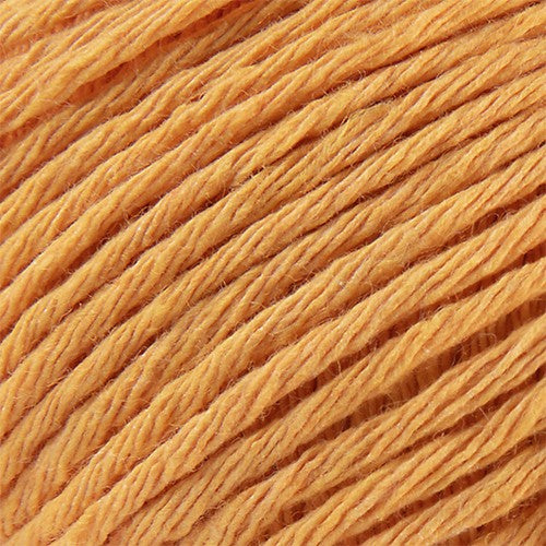 Ecotone by Laines du Nord