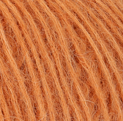 Cinnamon 118