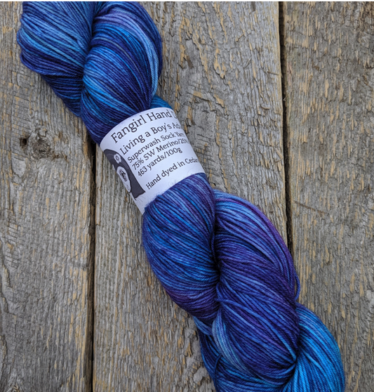 Living a A Boys Adventure