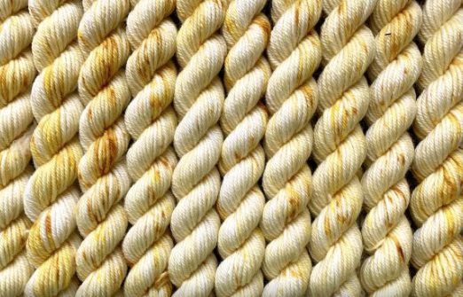 Dream in Color BFL