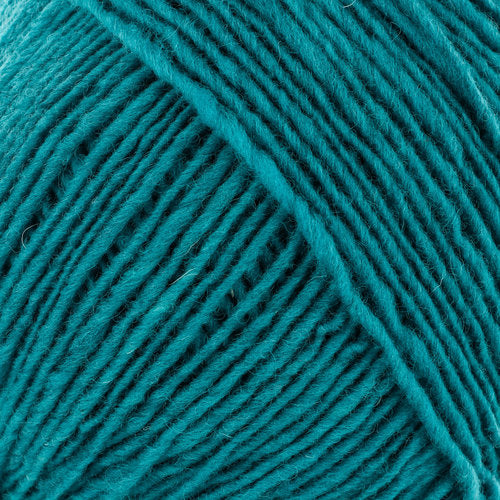 Noro Malvinas