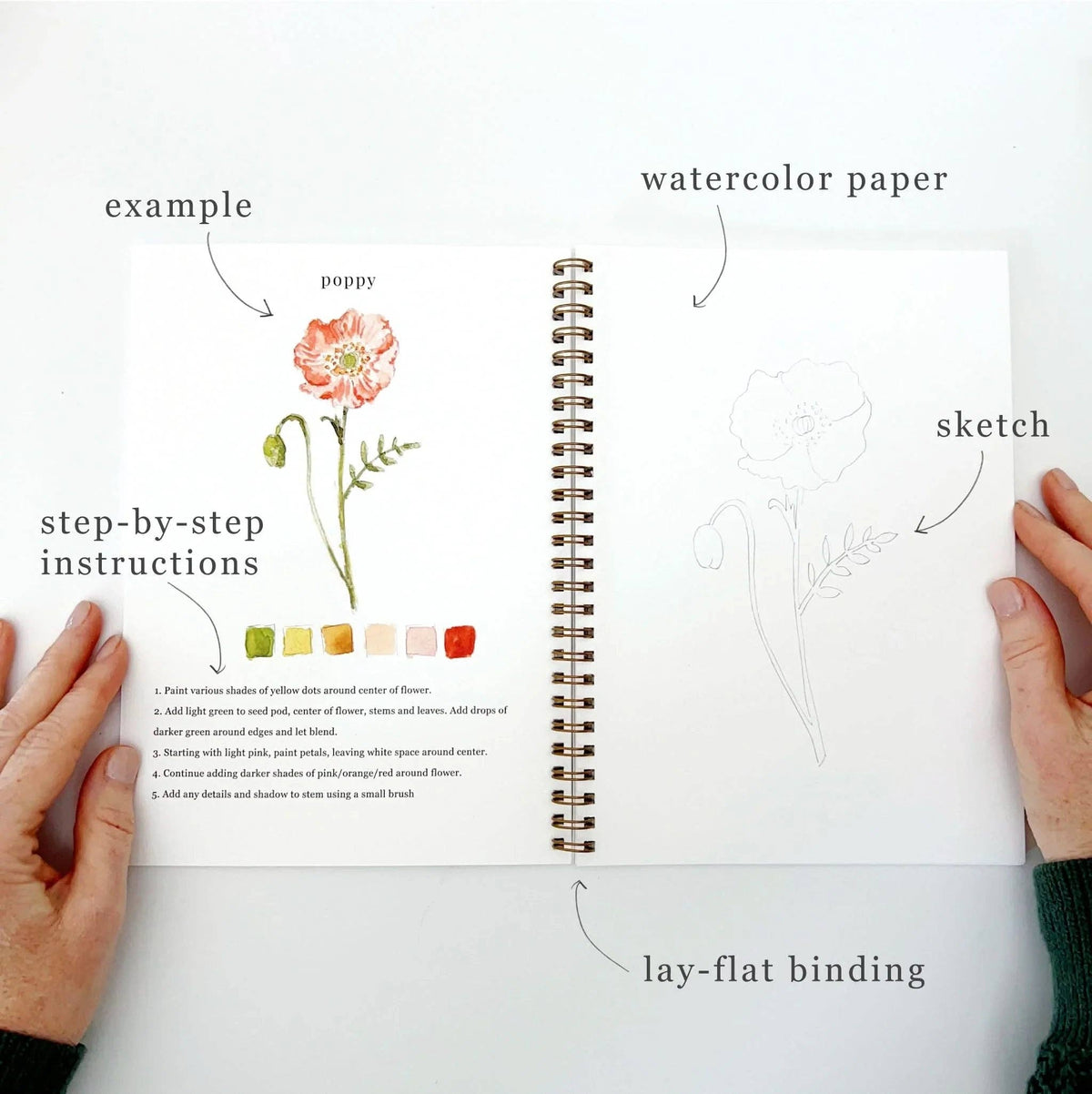 Flowers watercolor workbook by Emily Lux