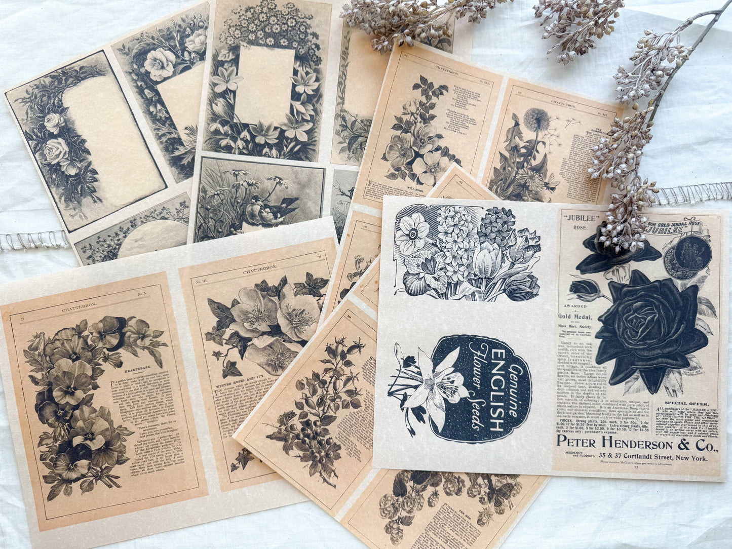 Junk Journal Page Pack- Botanical