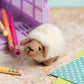 Sheep Mini Needle Felting Kit | Beginner Craft Kit