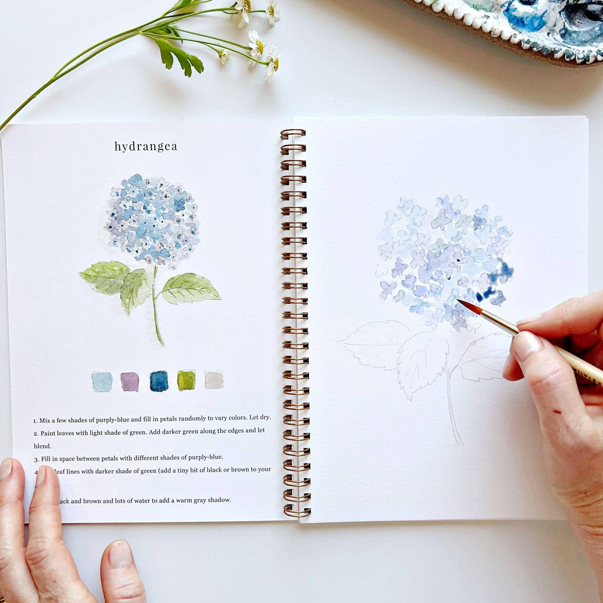 Flowers watercolor workbook by Emily Lux