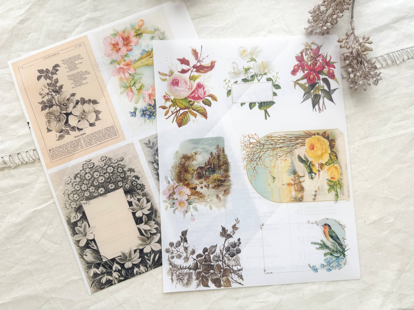 Junk Journal Page Pack- Botanical