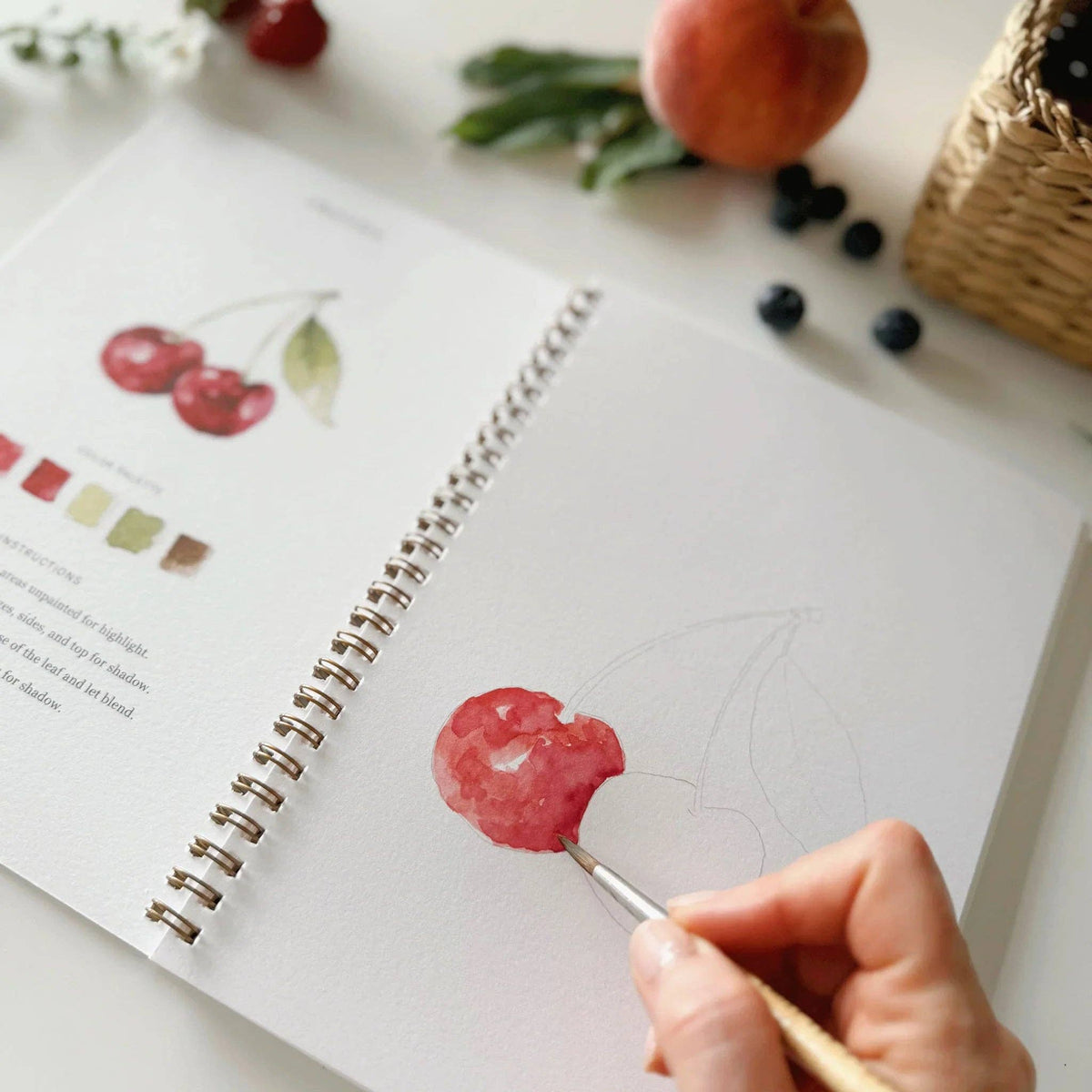 Fruit watercolor workbook by Emily Lux