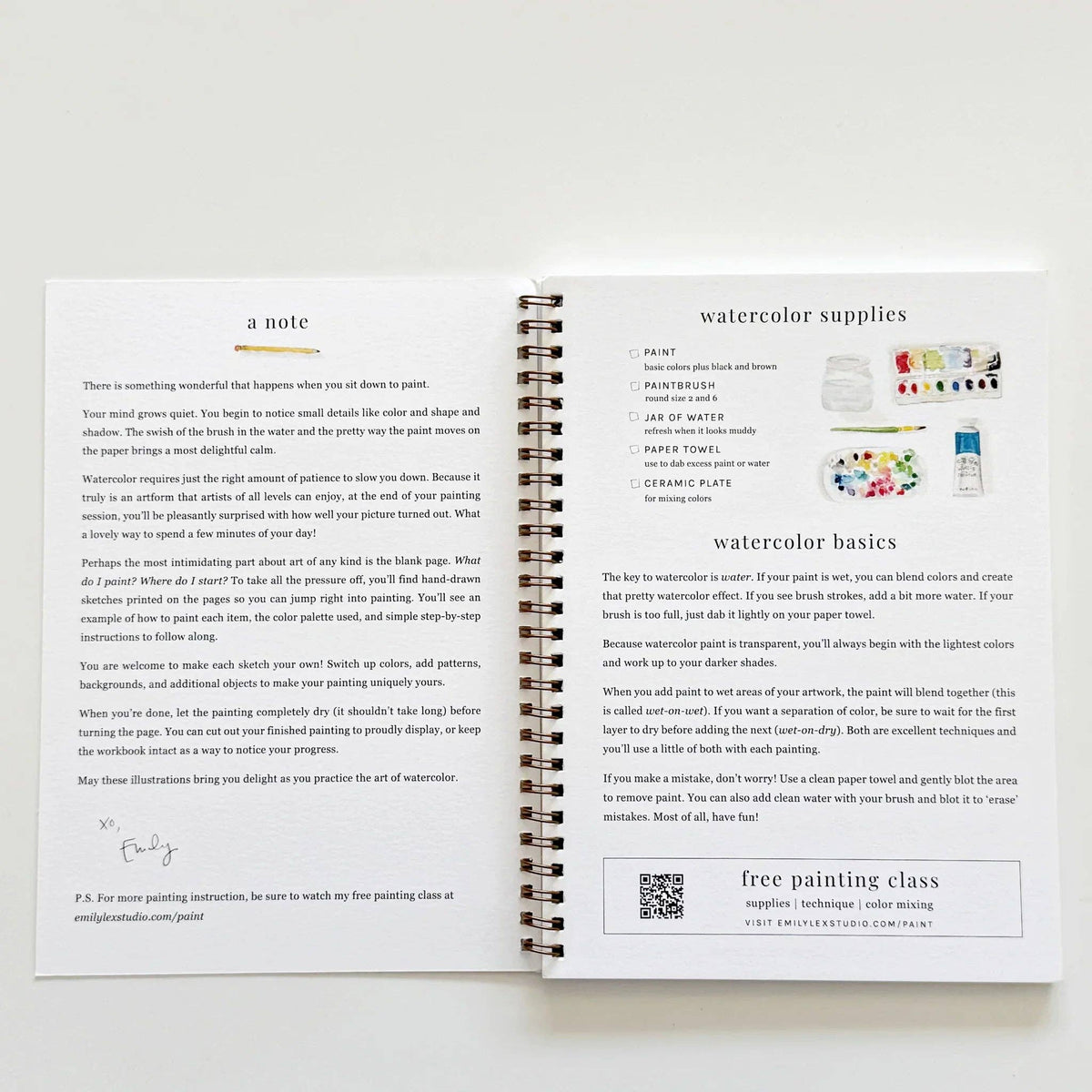 Fruit watercolor workbook by Emily Lux