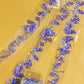 Wisteria Transparent Cutout Tape