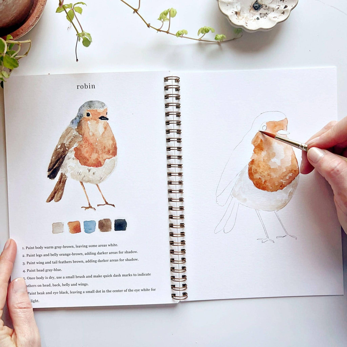 Birds Watercolor Workbook by Emily Lux