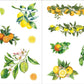 Bunches of Botanicals! Sticker Book