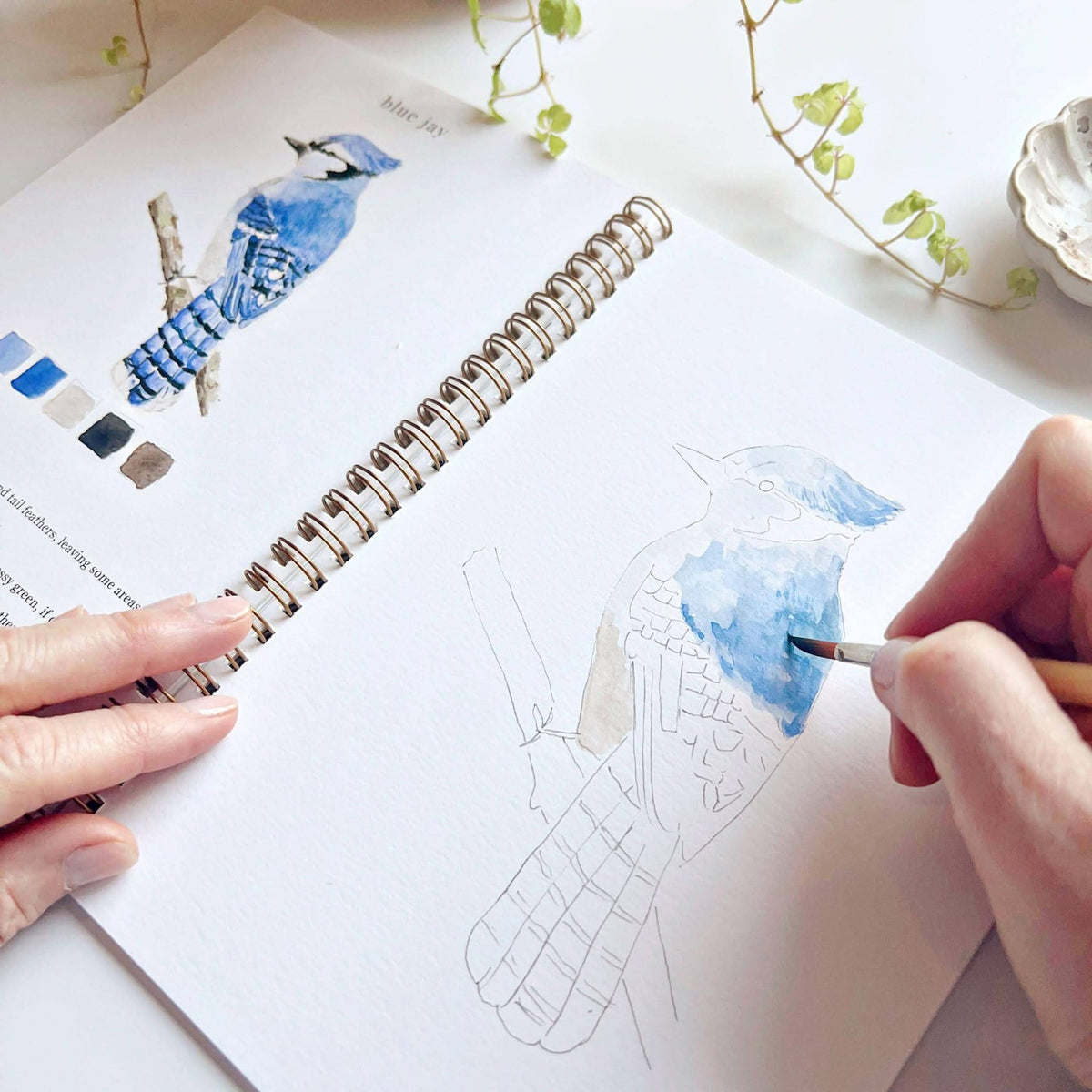 Birds Watercolor Workbook by Emily Lux