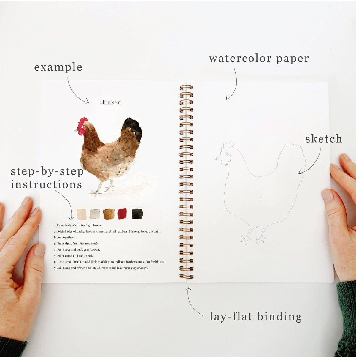 Animals Watercolor Workbook by Emily Lux