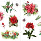 Bunches of Botanicals! Sticker Book