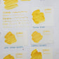 Fountain Pen Ink - Banana Slug