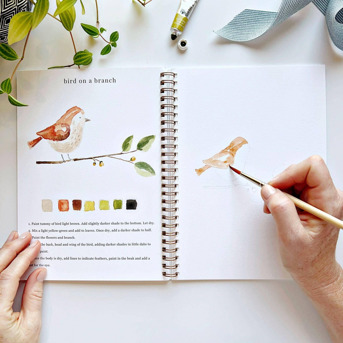 Animals Watercolor Workbook by Emily Lux