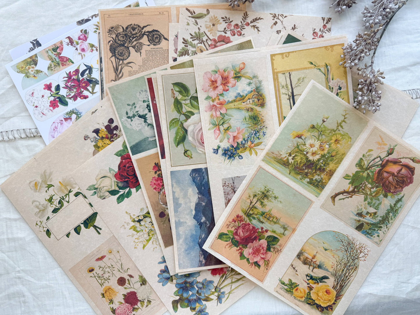 Junk Journal Page Pack- Botanical