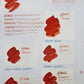 Fountain Pen Ink - Blood Orange