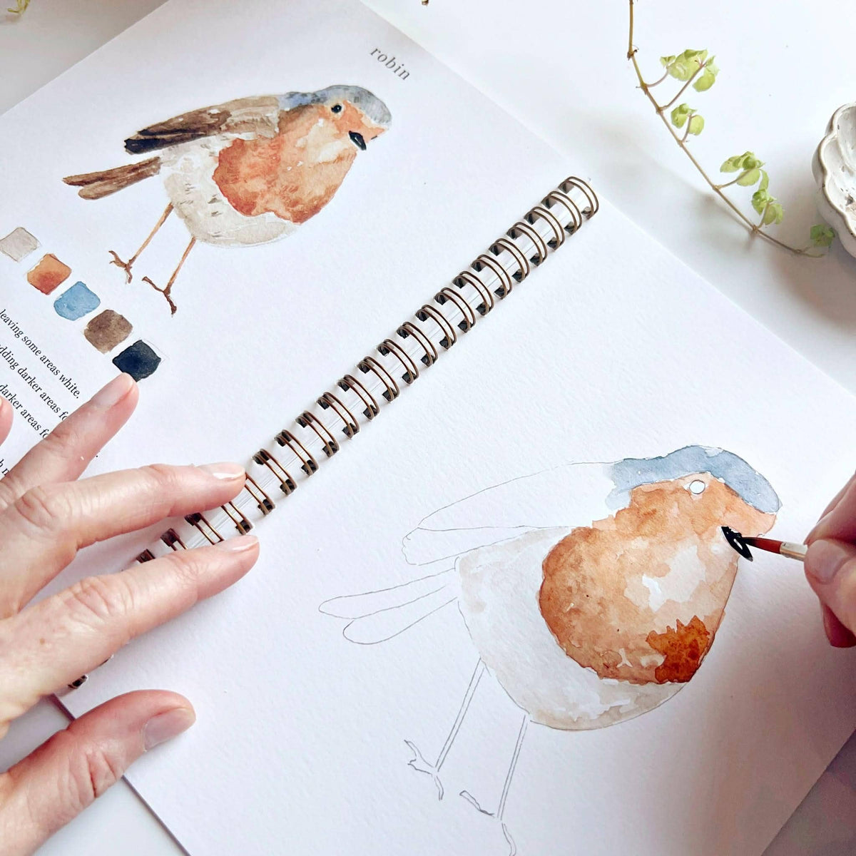 Birds Watercolor Workbook by Emily Lux