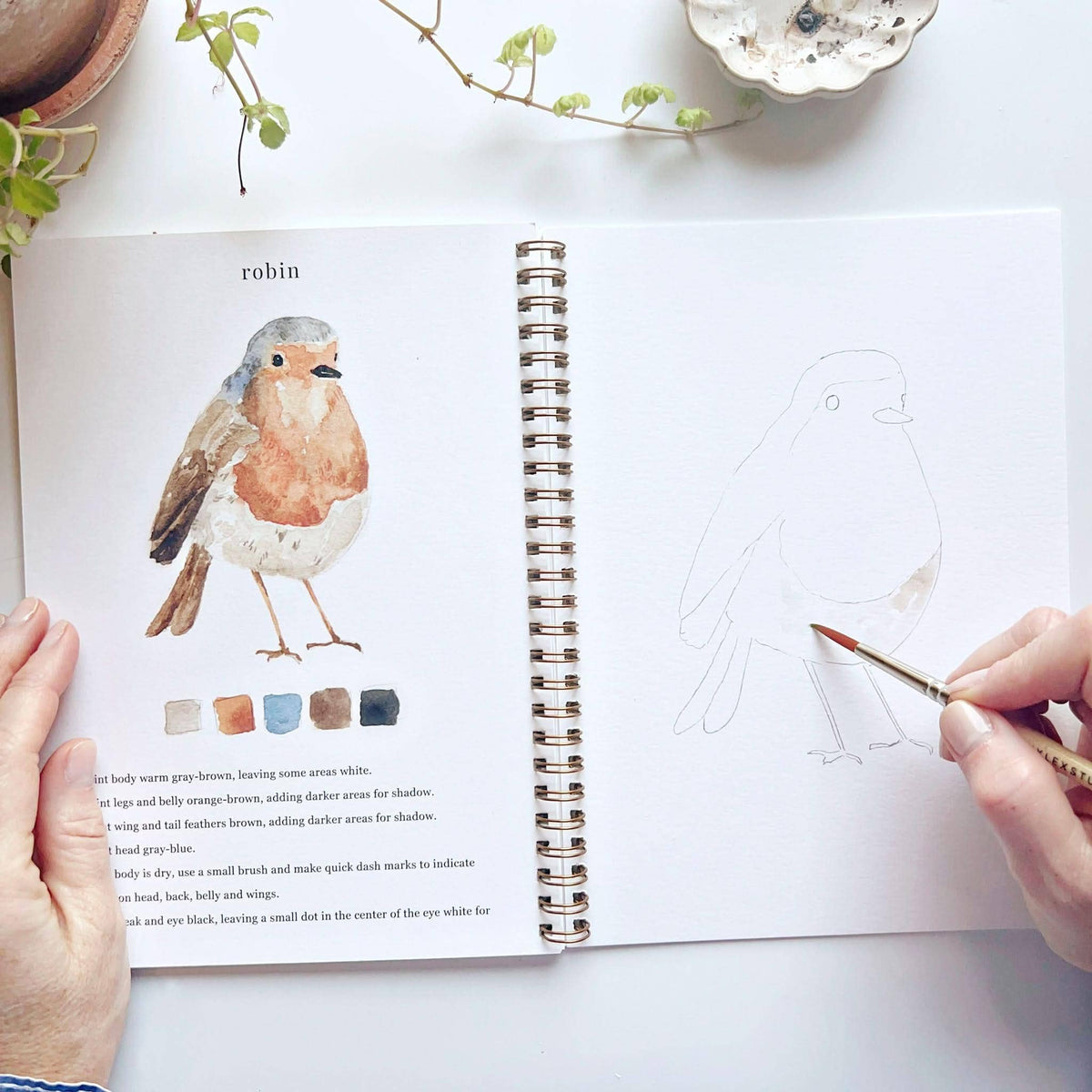 Birds Watercolor Workbook by Emily Lux