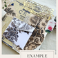 Junk Journal Page Pack- Botanical