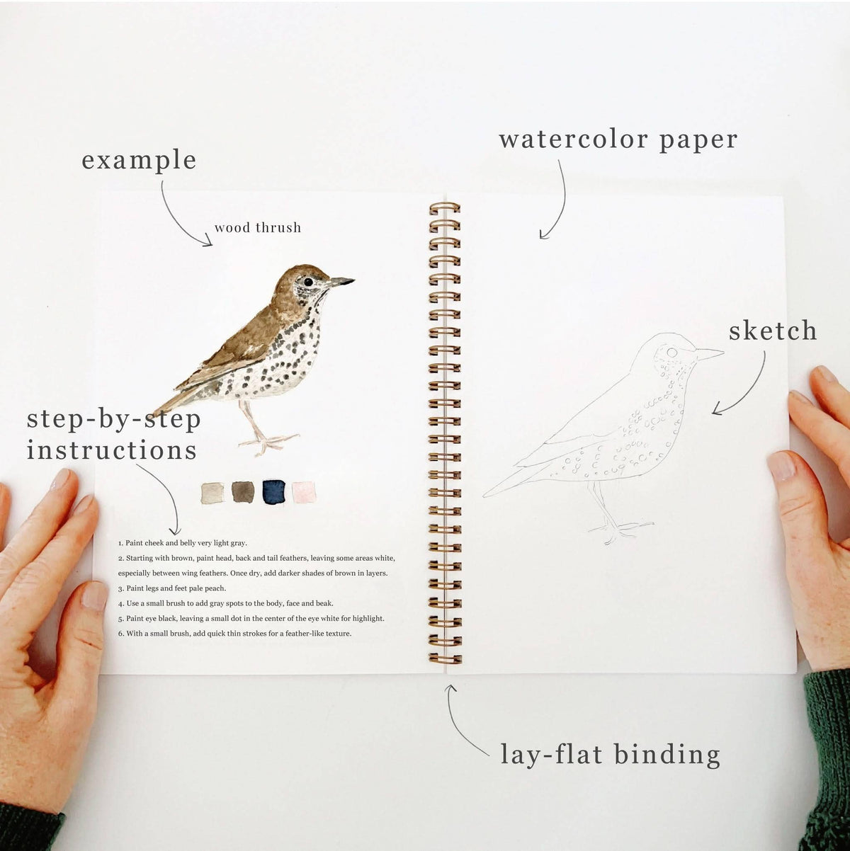 Birds Watercolor Workbook by Emily Lux