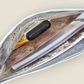 Travel Zipper Envelope