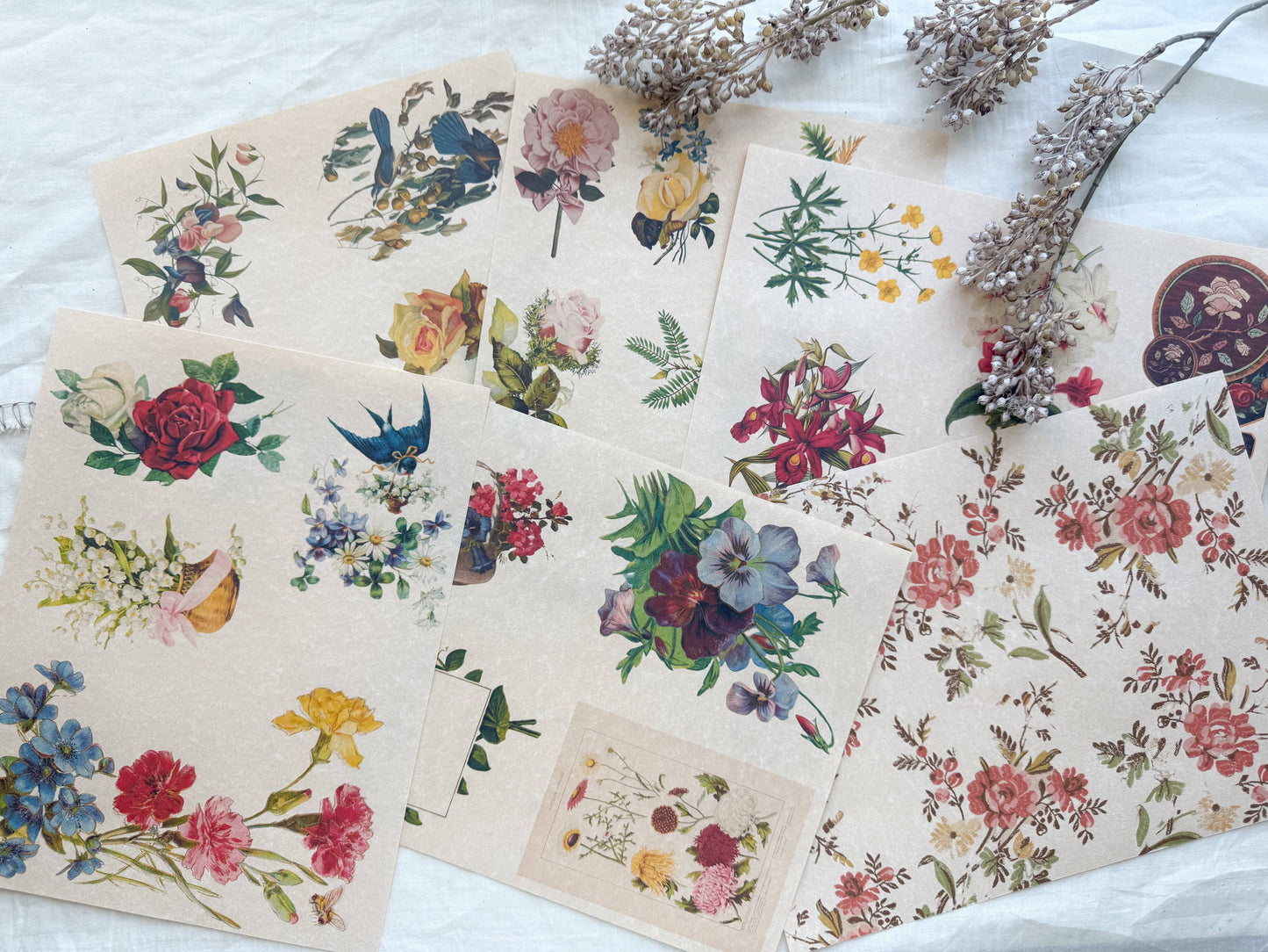 Junk Journal Page Pack- Botanical