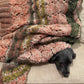 Squirrel's Delight Throw Kit