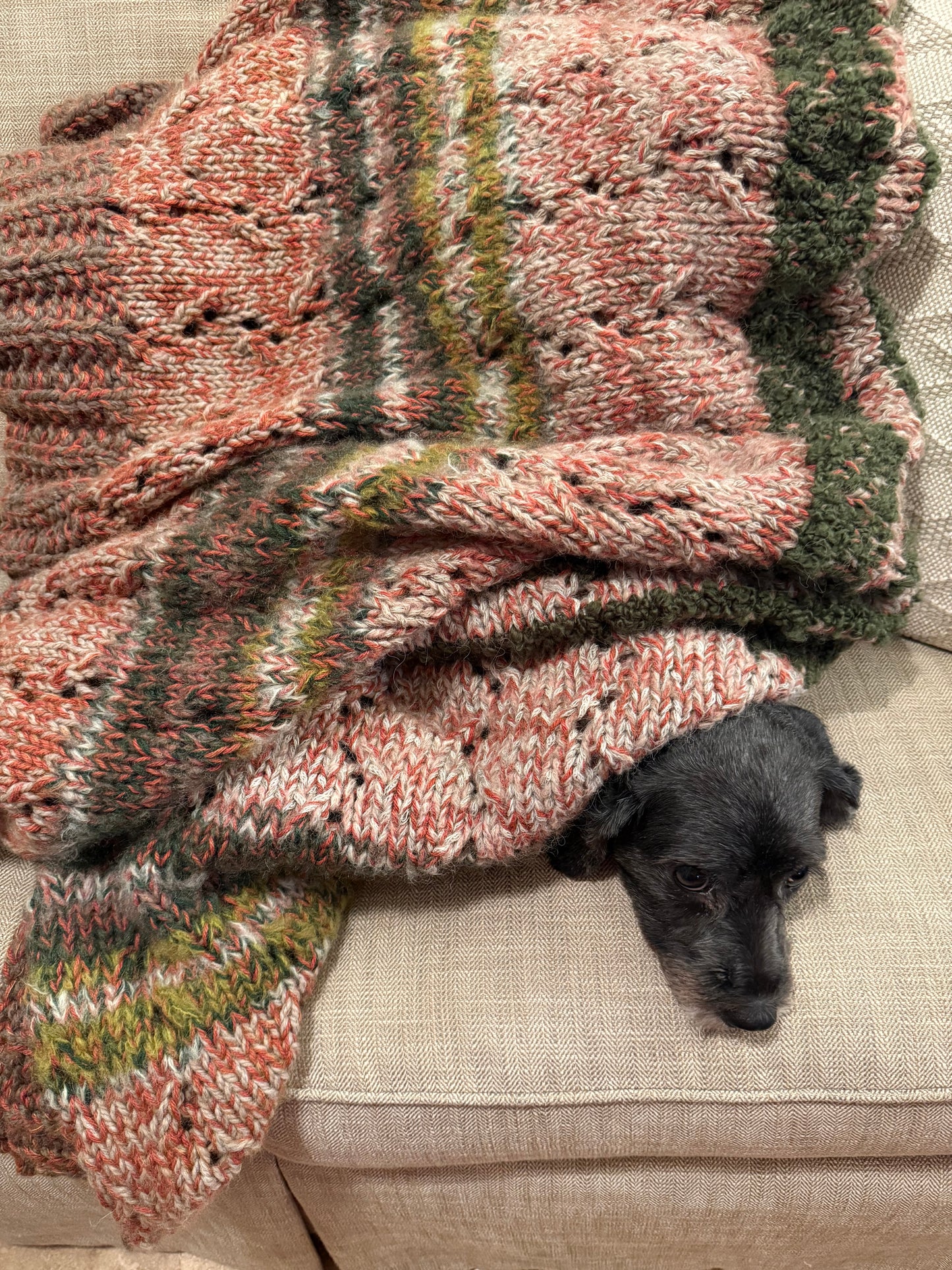 Squirrel's Delight Throw Kit