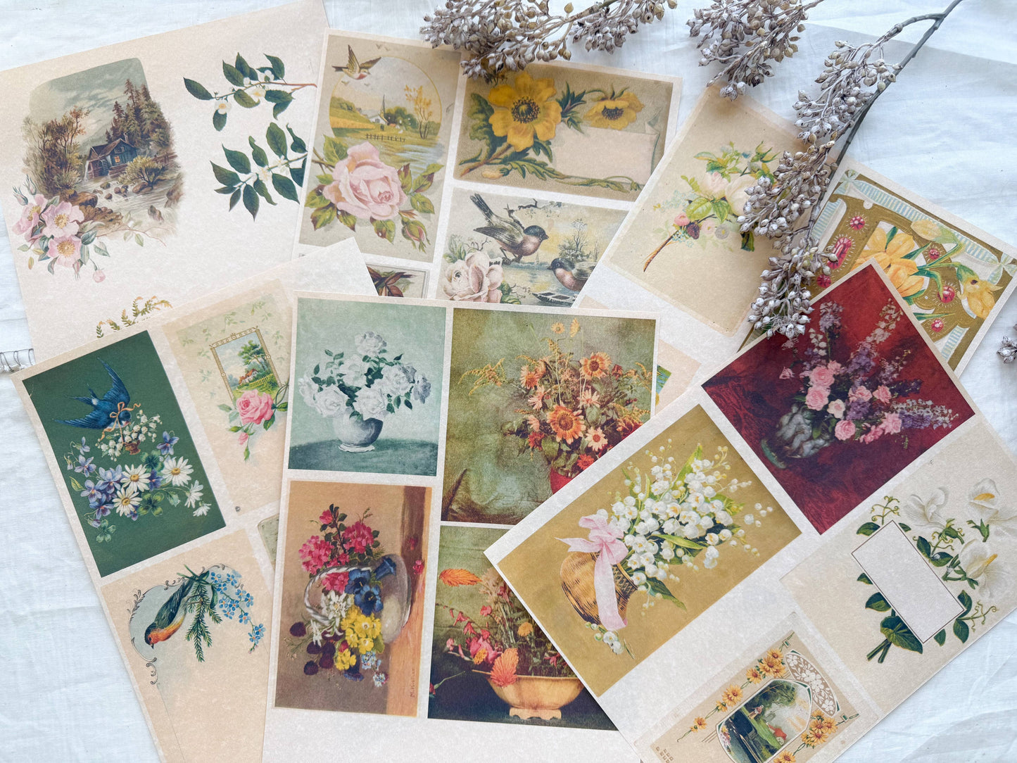 Junk Journal Page Pack- Botanical