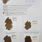 Fountain Pen Ink - Good Tidings