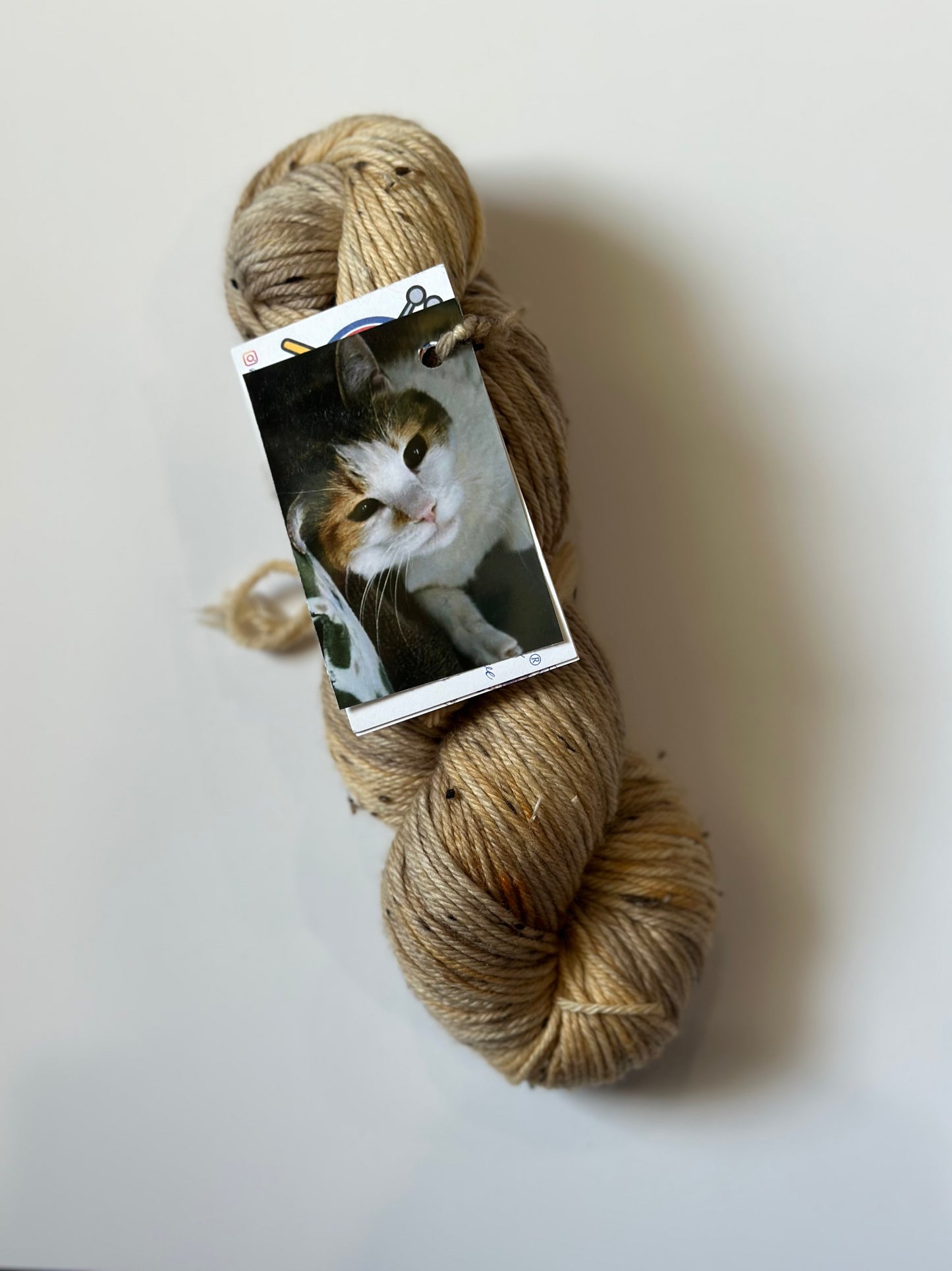 TRUNK SHOW: Road Trip Sock Yarn Classic Cat Full Skeins