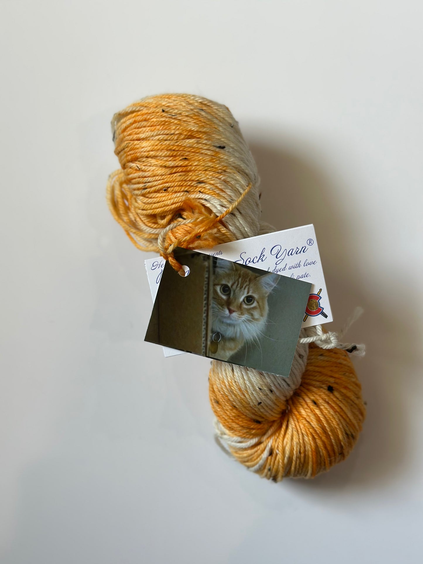 TRUNK SHOW: Road Trip Sock Yarn Classic Cat Full Skeins