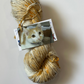 TRUNK SHOW: Road Trip Sock Yarn Classic Cat Full Skeins
