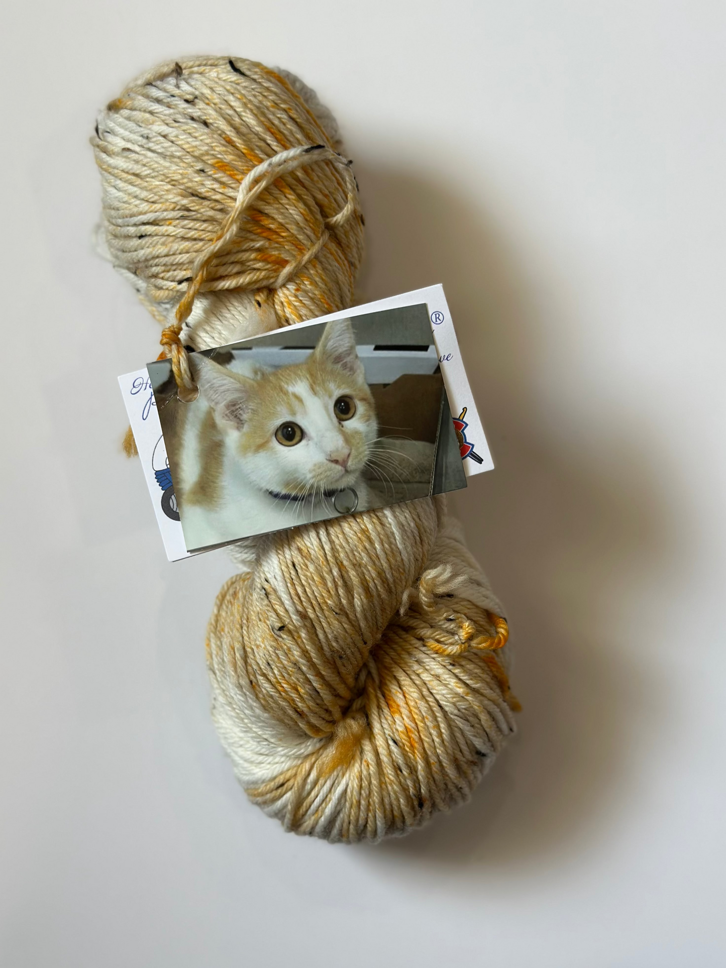 TRUNK SHOW: Road Trip Sock Yarn Classic Cat Full Skeins