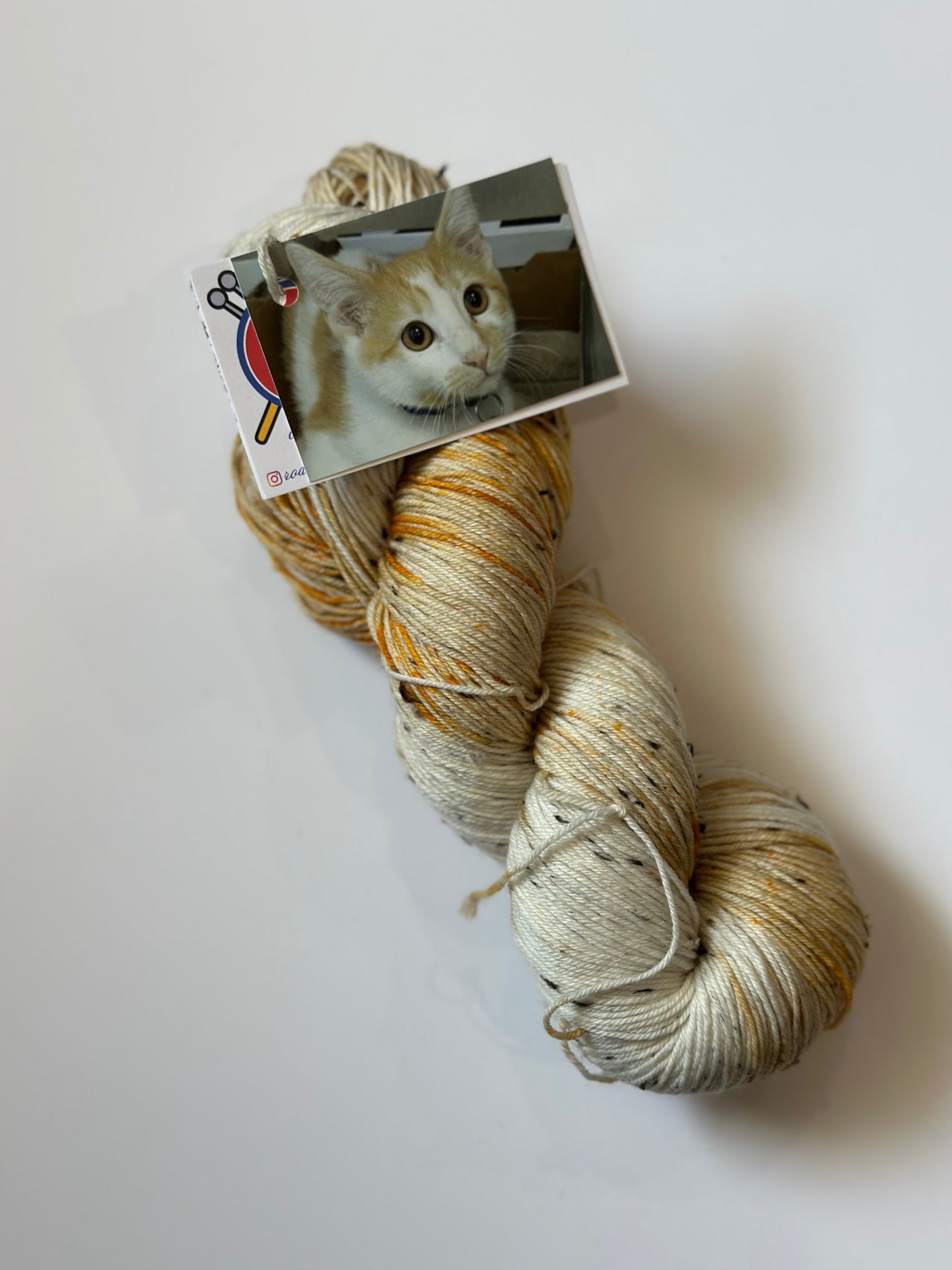 TRUNK SHOW: Road Trip Sock Yarn Classic Cat Full Skeins