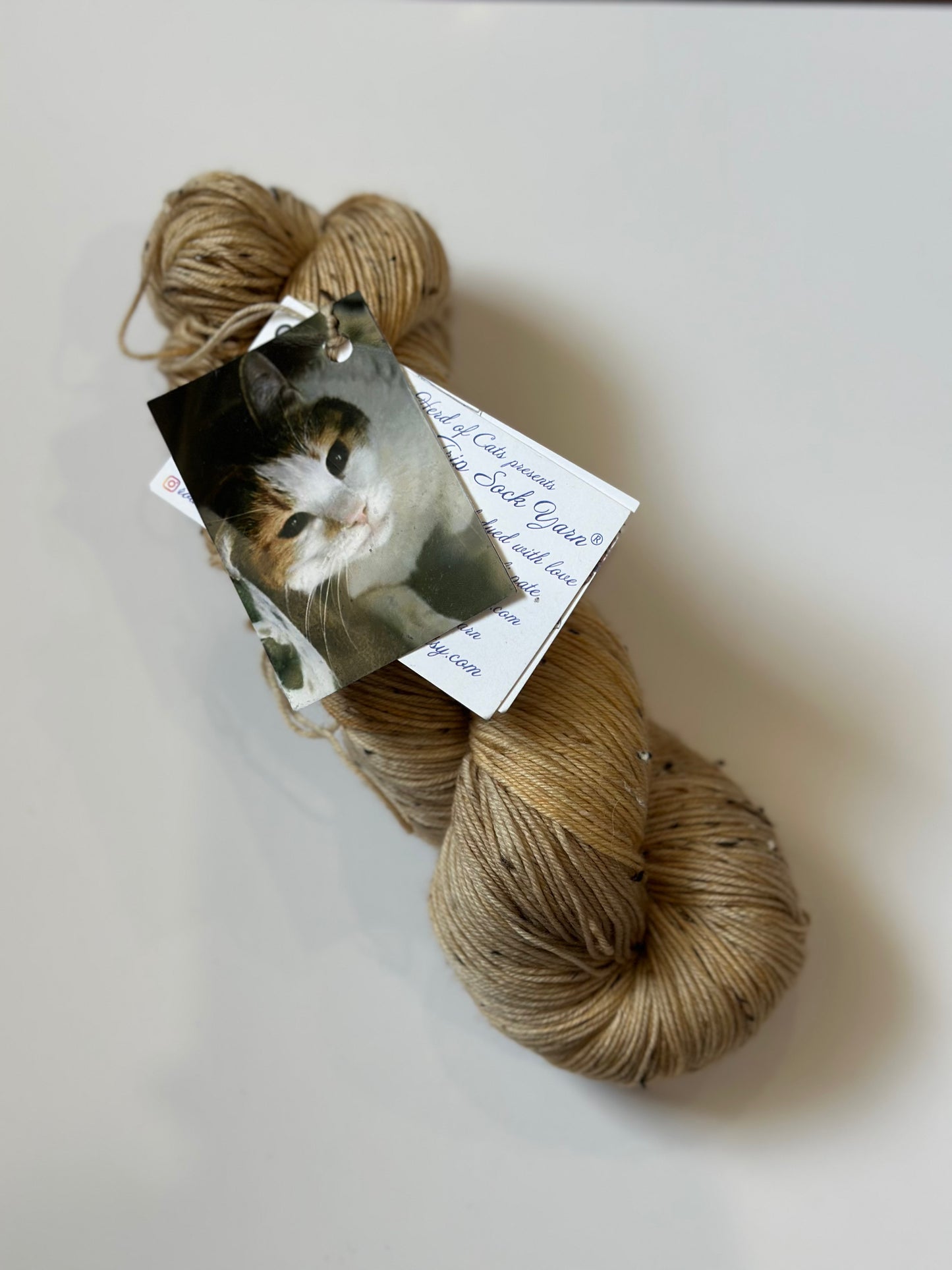 TRUNK SHOW: Road Trip Sock Yarn Classic Cat Full Skeins