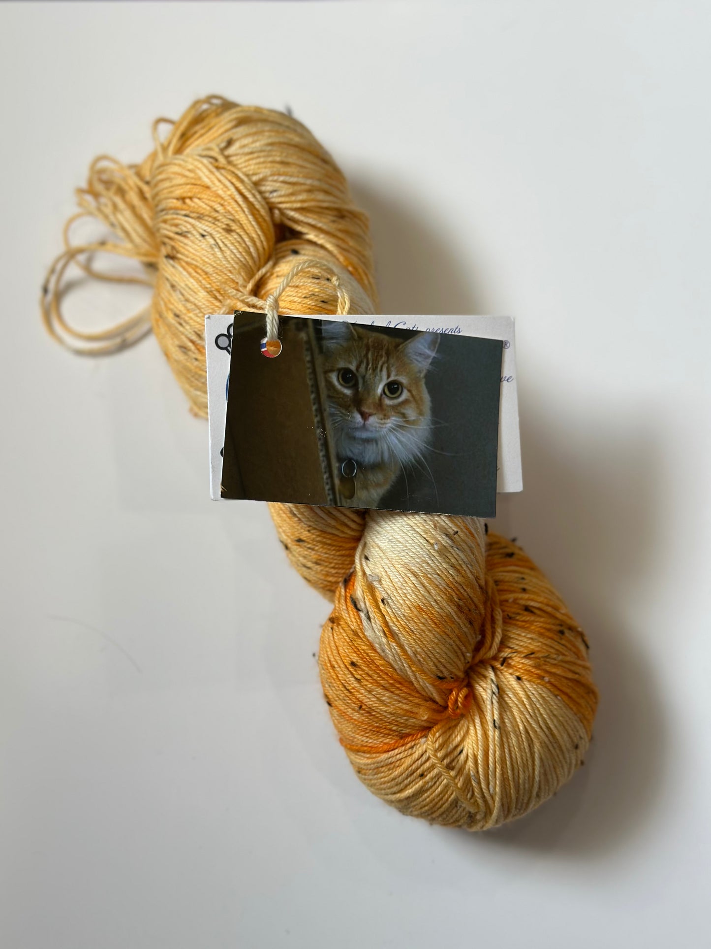 TRUNK SHOW: Road Trip Sock Yarn Classic Cat Full Skeins