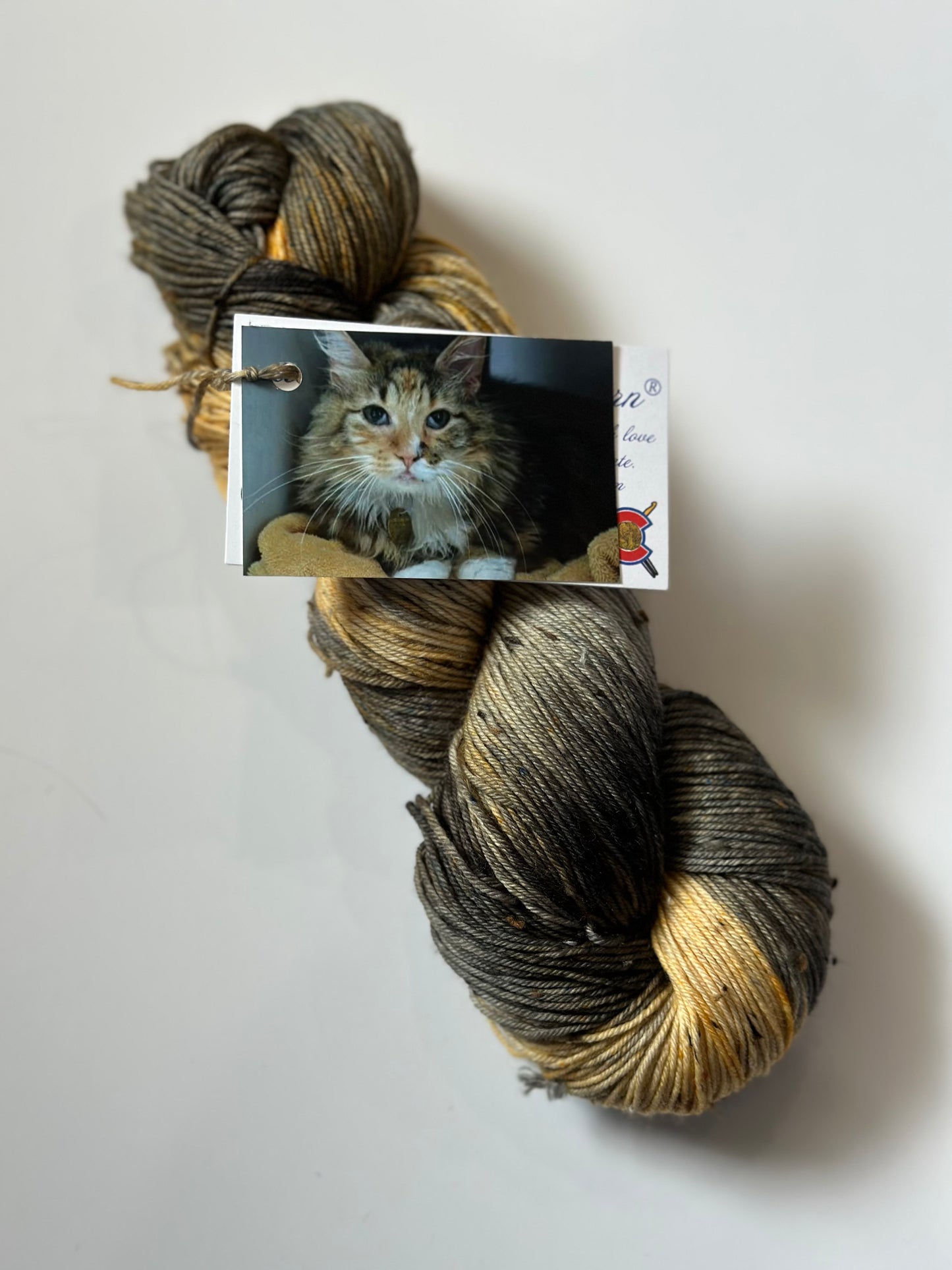 TRUNK SHOW: Road Trip Sock Yarn Classic Cat Full Skeins