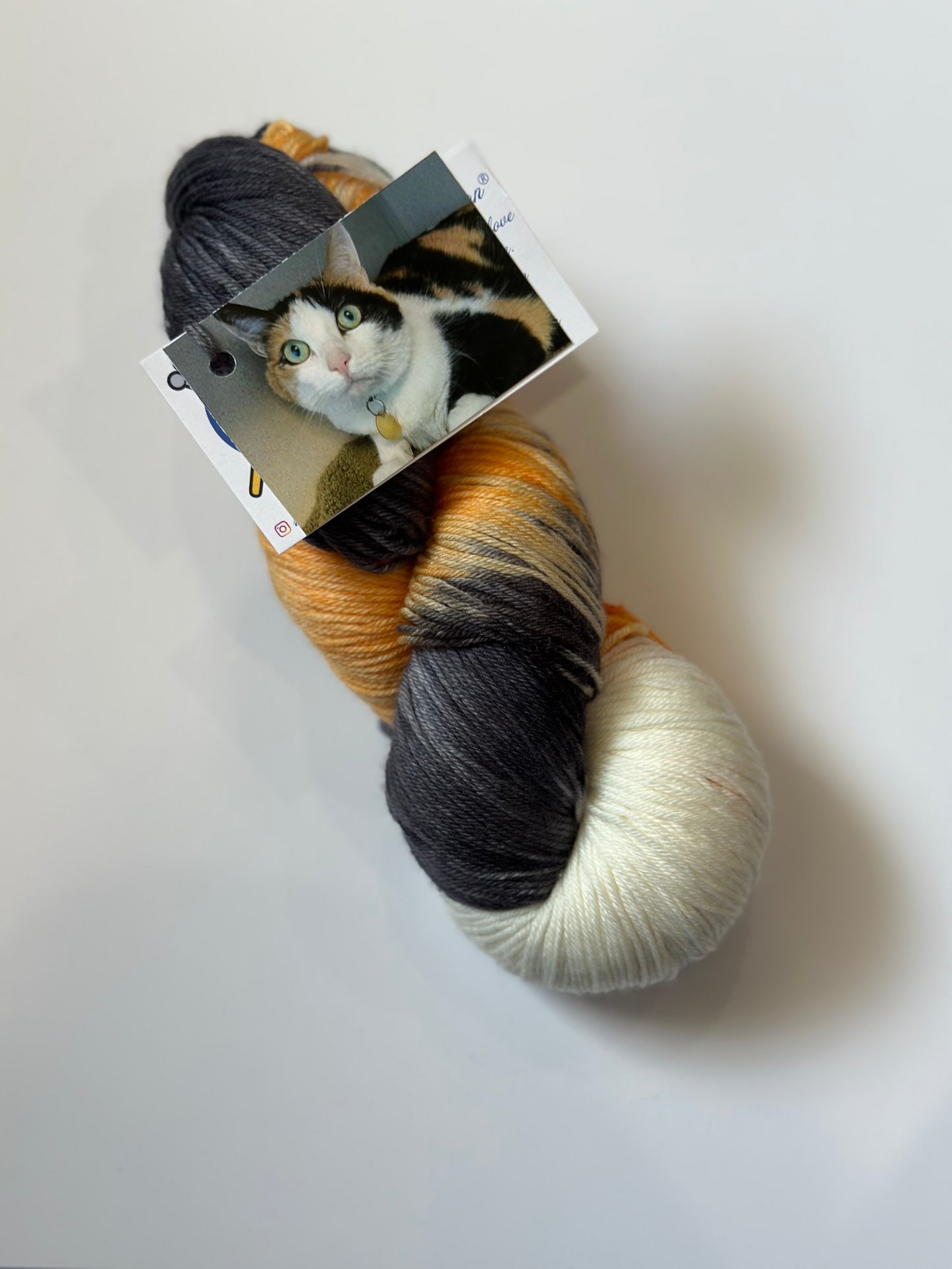 TRUNK SHOW: Road Trip Sock Yarn Classic Cat Full Skeins