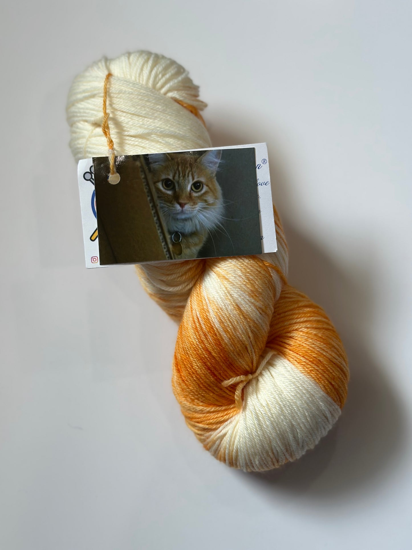 TRUNK SHOW: Road Trip Sock Yarn Classic Cat Full Skeins