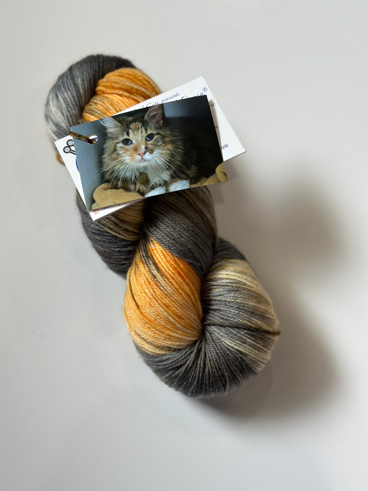 TRUNK SHOW: Road Trip Sock Yarn Classic Cat Full Skeins