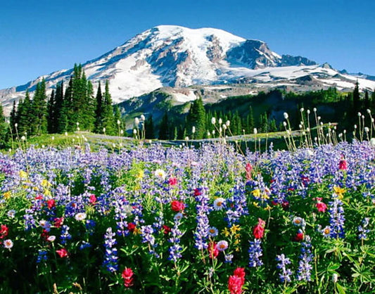 Mount Rainier Hat - Knitting the National Parks