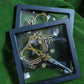 Owl Scissors